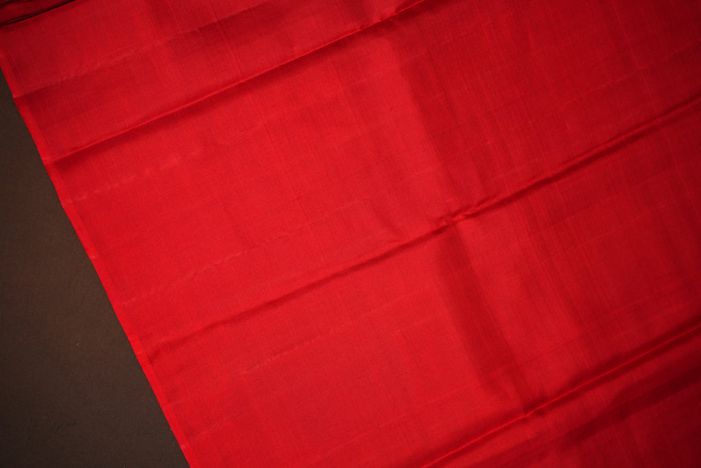 Kanchi Pattu Borderless Saree Fusion Green Minimal | Ande Silks