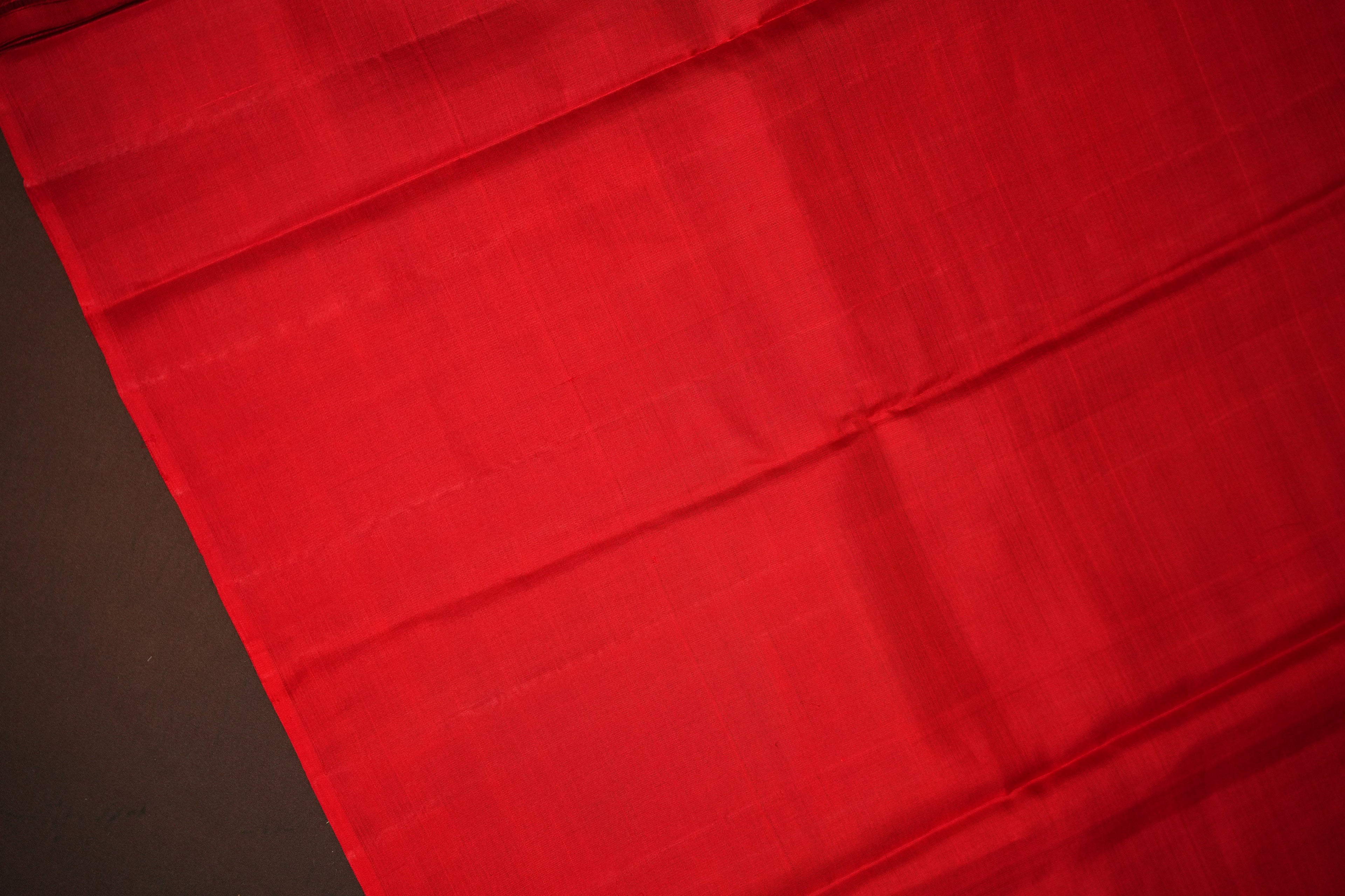 Kanchi Pattu Borderless Saree Fusion Green Minimal | Ande Silks