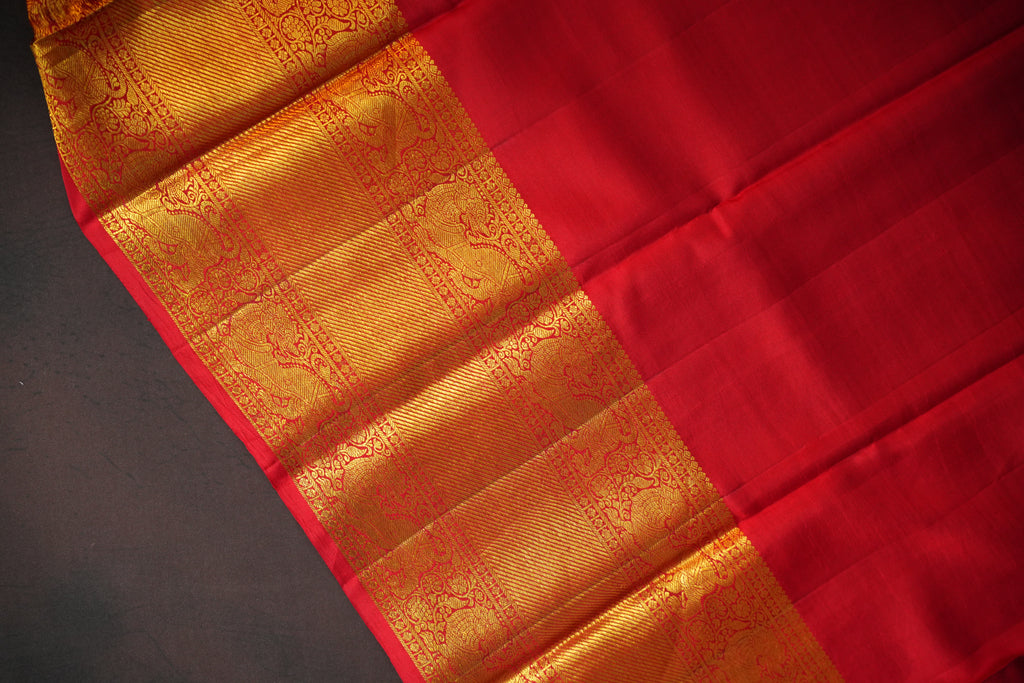 Kanchi Printed Kalamkari Saree with Zari Border