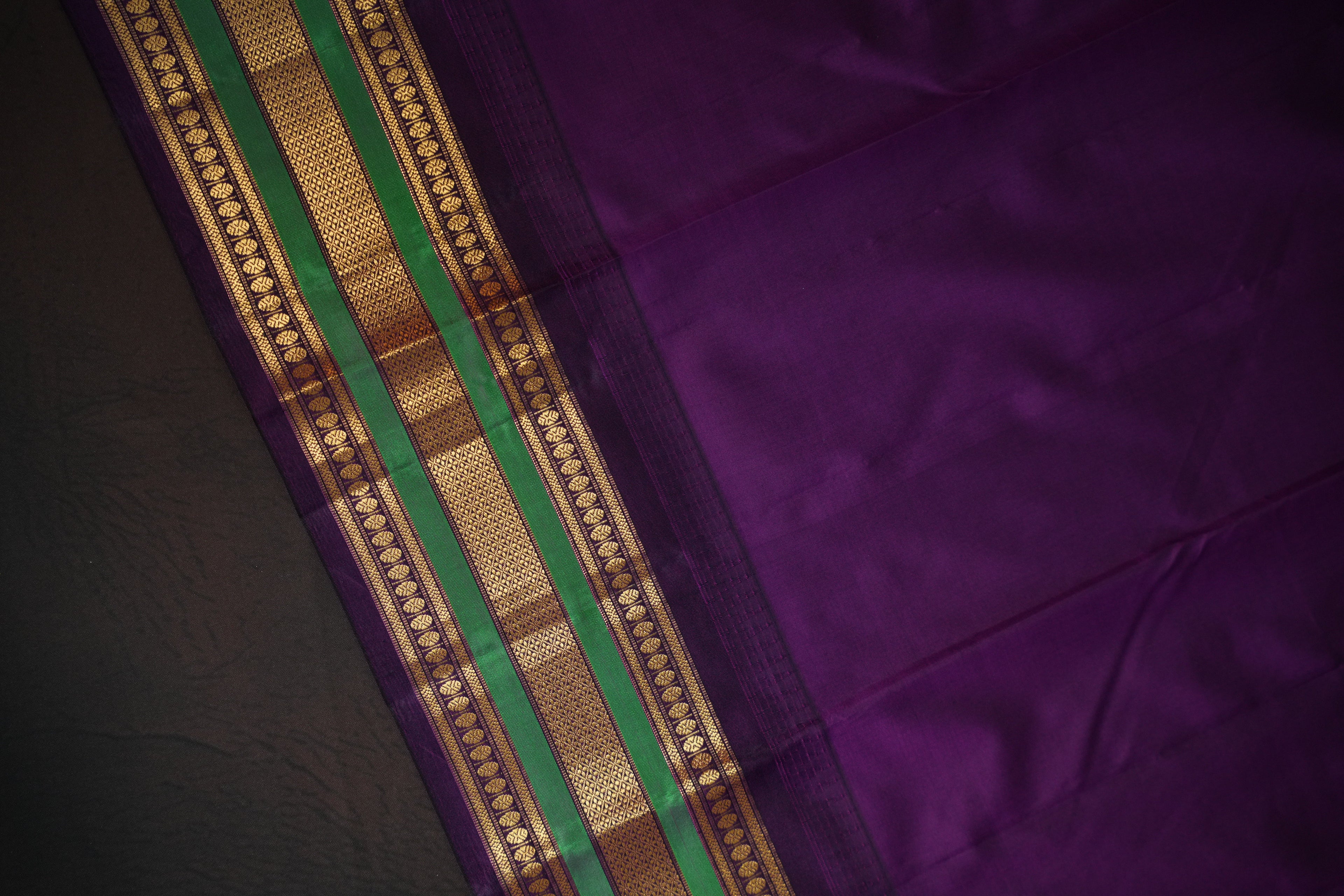 Mint Green Kanchi Soft Silk Saree with Zari Border