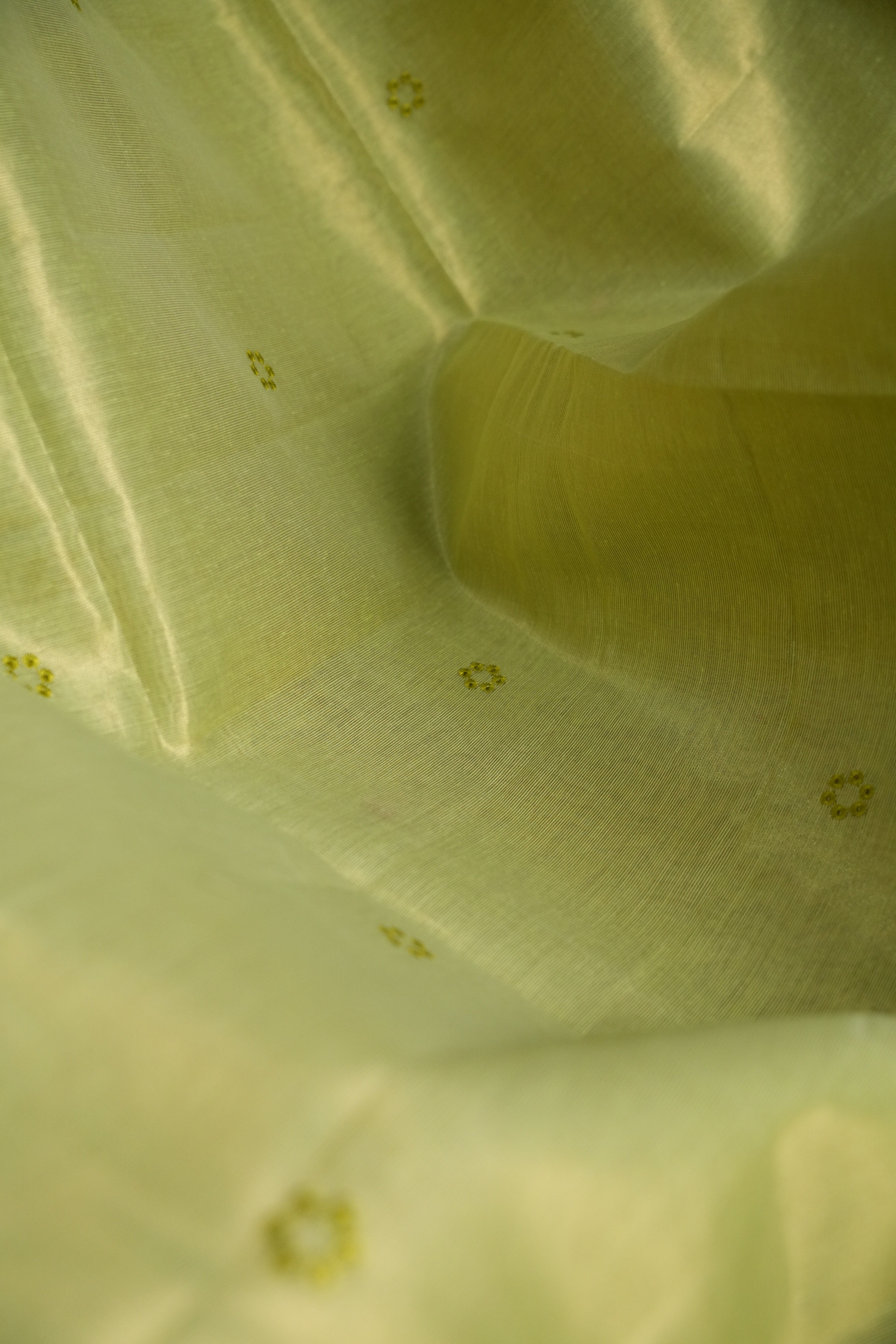 Pastel Green Benaras Saree with Floral Woven Design